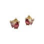 Γυναικεια ασημενια 925 σκουλαρικια Prince silvero χρυσο με ζιργκον κοκκινο και ροζ 2ZK-SC105-3R