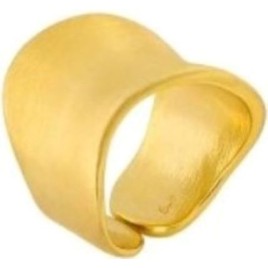 Prince Silvero Γυναικείο Δαχτυλίδι από Ασήμι 925 Επιχρυσωμένο νούμερο 56 1X-RG066-3