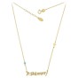 Necklace NLT11167