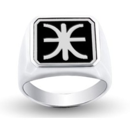 Custom Silver (White) Square-Top Signet Ring With Enamel